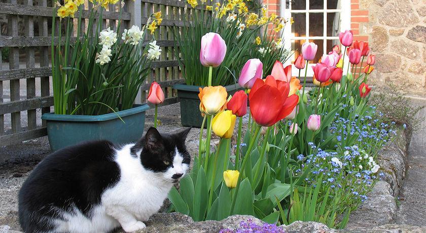 Budleigh Farm Cottages Moretonhampstead Eksteriør bilde